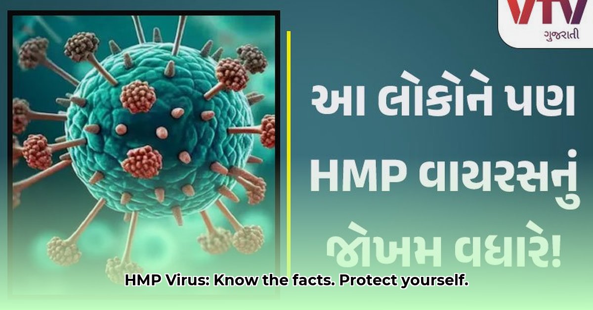 hmp-virus